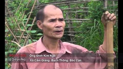 NDCP số 113: Siết chặt quản lý khai thác cát, sỏi trên sông, cửa biển