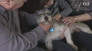 Hartford city leaders propose limit on household pets
