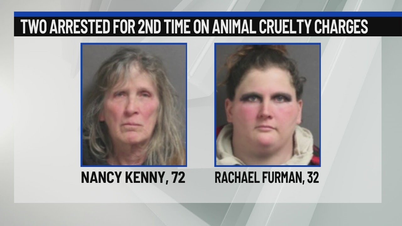 2 arrested on animal cruelty charges for second time - YouTube