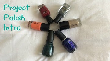 Project Polish Intro