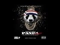 Bad Lungz - Panda (freestyle)