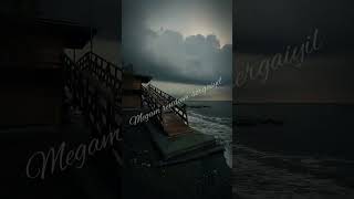 kadhal rojava🥀 #tamilsong #lovestatus #fellings