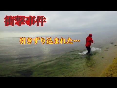 釣ってないはずが I was bass fishing in Lake Biwa when I got pulled in by a