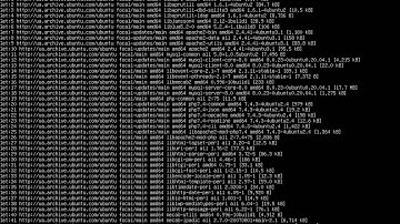 Установка сервера LAMP на Linux Ubuntu Server 20.04 (Installation server LAMP on Linux Ubuntu)