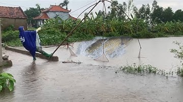 Bắt Cá Mùa Lũ, Đủ Mọi Loại Cá, Những Hình Ảnh Không Thể Nào Quên