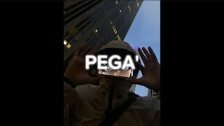 PEGA