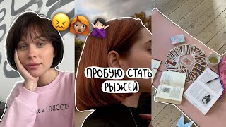 из чёрного в рыжий, гадание таро, любовь к себе, переделка комнаты