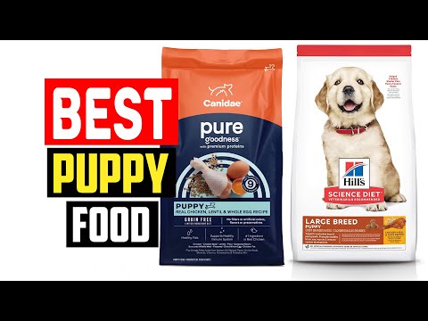 Video: Lamb & Rice Puppy Food