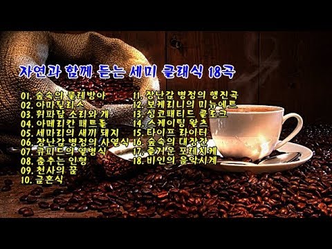 자연과 함께 듣는 <strong>세미</strong> <strong>클래식</strong> 18곡