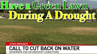 How To Water Properly During Drought for a GREEN LAWN