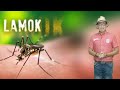 Mga Genetically Modified na Lamok pinakawalan sa Florida Keys Islands sa Amerika | Kaunting Kaalaman