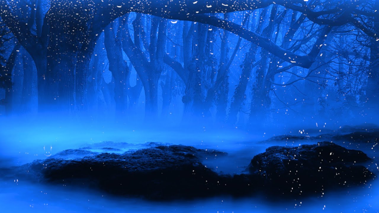The Sound of Heavy Rain and Thunder in the Deep Foggy Forest will Make ...