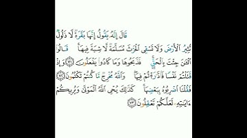2 - سورة البقرة ٧١-٧٣ - مشاري بن راشد العفاسي