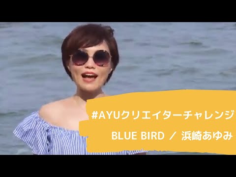 【ayuクリエイターチャレンジ】BLUE BIRD／浜崎あゆみ cover