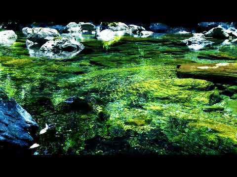 【ASMR風】1時間 自然音 眠れる川の音 1hour Nature Sounds of a river for Relaxing