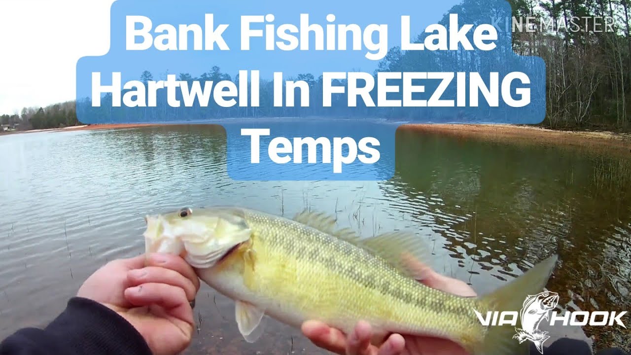 Bank Fishing Lake Hartwell In FREEZING Temps - YouTube