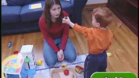 CSEFEL 2.8 Adult & Toddler Interacting