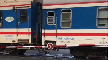 NĂM NAY BẠN ĂN TẾT Ở ĐÂU...? | Travel Vlog | Tết Kỷ Hợi 2019 | Nathan SaysHi