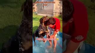 Other Dogs Vs My Dog 🚨 Resimi