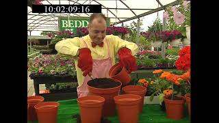 Citv Zzzap Series 9 Episode 6 2000