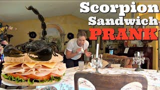 REAL SCORPION SANDWICH PRANK - Top Husband Vs Wife Pranks Of 2017 by Pranksters in Love 366,815 views 6 years ago 6 minutes, 4 seconds