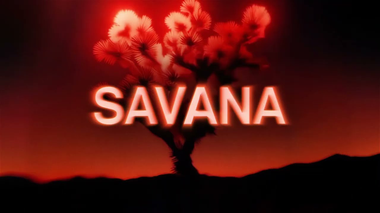 Chris Lake - Savana [Official Visualizer]
