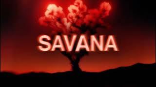 Chris Lake - Savana [ Visualizer]