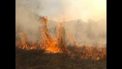 Wildfire Toxic Ash Suppression with Posi-Shell – LSC Environmental Disaster Response