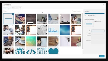 como colocar video no wordpress fv player