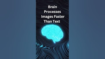 Our Brain Processes Images Faster Than Text #processing #humanbrain