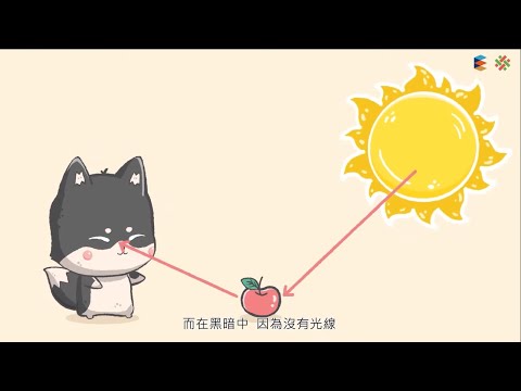 108新課綱｜八上理化｜【觀念】光的直進與光速