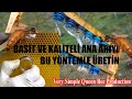 Çok Kolay ve Basit Ana Arı üretimi