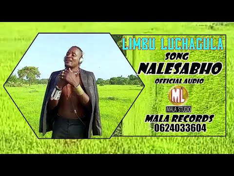 Limbu Luchagula   Nalesabho   Official Music