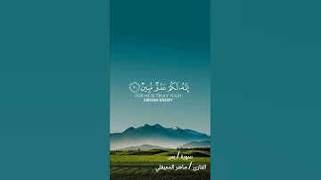 ألم أعهد إليكم يا بني آدم  | سورة / يس - القارئ / ماهر المعيقلي