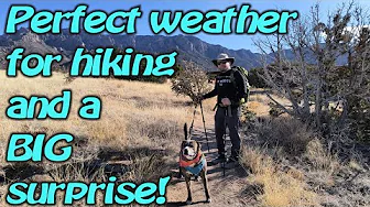 Albuquerque Foothills hike with 3 Mule Deer surprise!