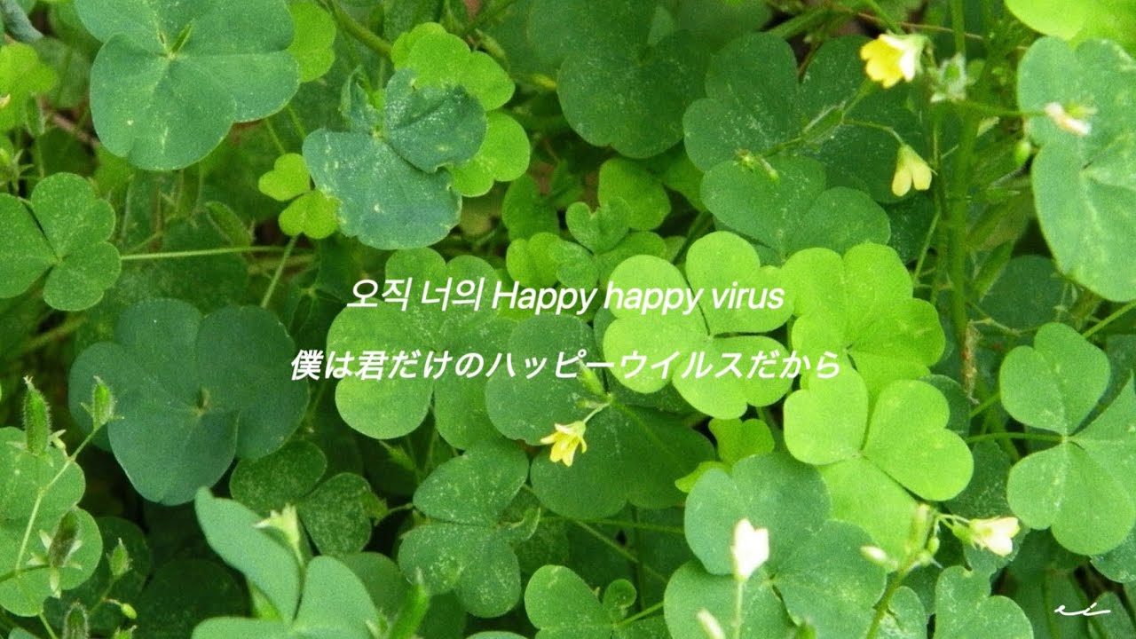 日本語訳 / Happy Virus - SEVENTEEN DK Solo