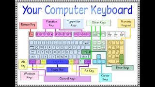 Working with Accessibility Options - Web Applications (Basic)