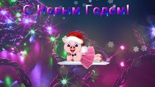 С Новым 2019 годом! Футаж  Поздравляют забавные свинюшки!