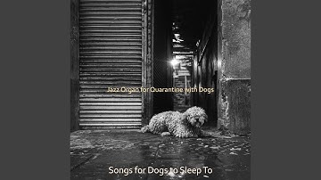 Backdrop for Relaxing at Home with Your Dog - Dashing Jazz Organ