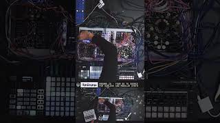Tom Simmert - Funkwerke Vol. 21 - Electronica & House #liveperformance #modularsynth