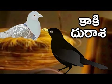Telugu Kids For In Stories Bedtime Telugu Kids For In Stories Bedtime