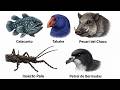 Animales que VOLVIERON de la EXTINCIÓN explicados en 7 minutos