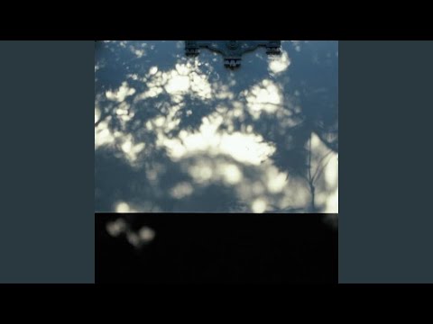 Ver imightbeafool en YouTube Ver imightbeafool en YouTube