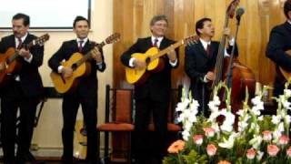 Video voorbeeld van "Rondalla Cantico Nuevo "Cantará la Creacion" en vivo"