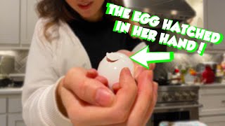 THE EGG HATCHED IN HER HAND! - Streamer Digest Issue #9