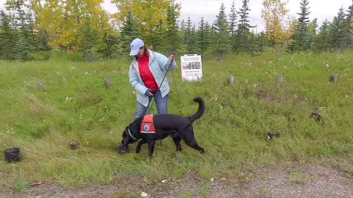 Alberta Environment & Parks - Invasive Weeds Training