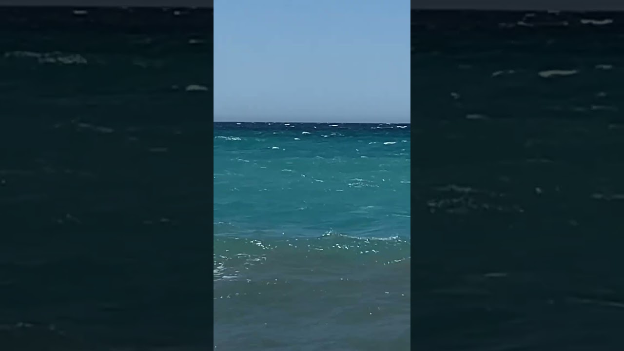 Tiburón Mako, La Herradura, Andalucía España. 17/08/2022