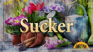 Sucker – Garden Glossary