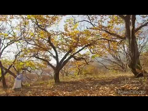 Бейне: 43 жастағы тайваньдық әйел, 18 жасар, сұлулық құпияларымен бөліседі