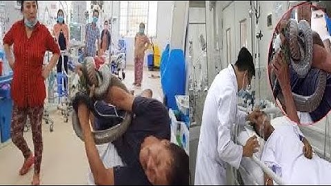 Người đàn ông mang rắn vào bệnh viện cấp cứu